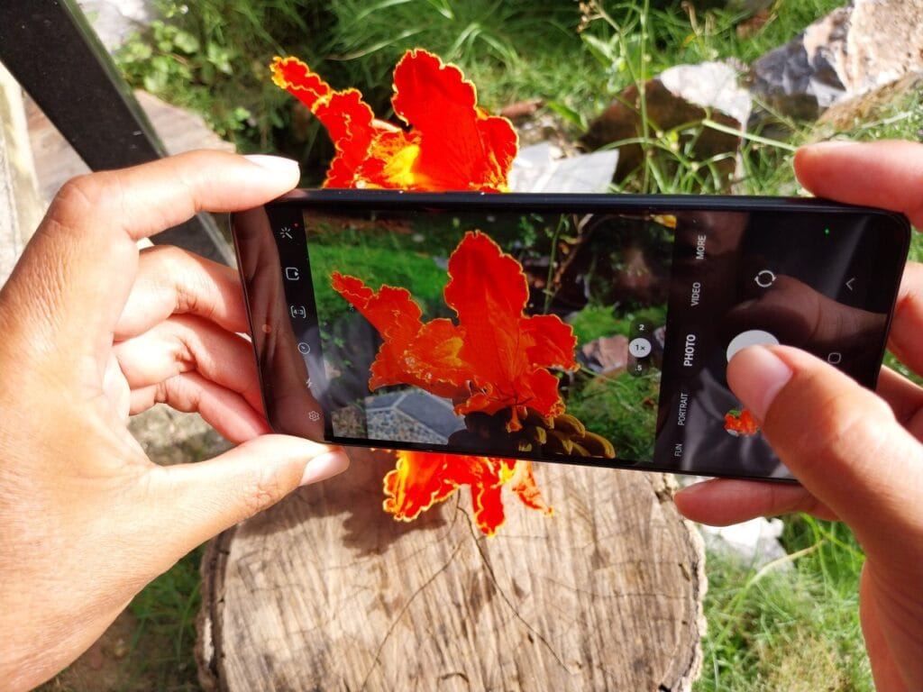 Puterea fotografiei în mâna ta: telefoanele pliabile și revoluția imaginii Persoană fotografiind o floare roșie cu telefon pliabil, demonstrând calitatea camerei foto a smartphone-ului în lumină naturală.