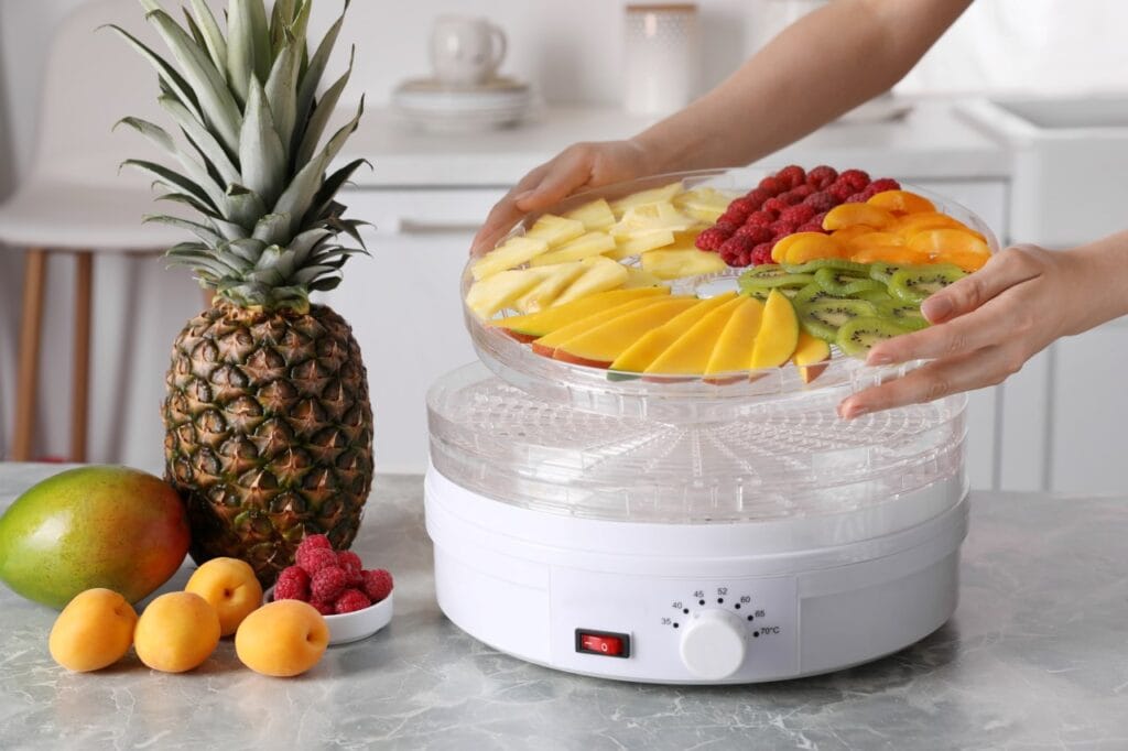 Deshidratarea alimentelor acasă: consum mic, conservare mare Fructe tropicale pregătite pentru uscare într-un deshidrator electric cu termostat, eficient energetic