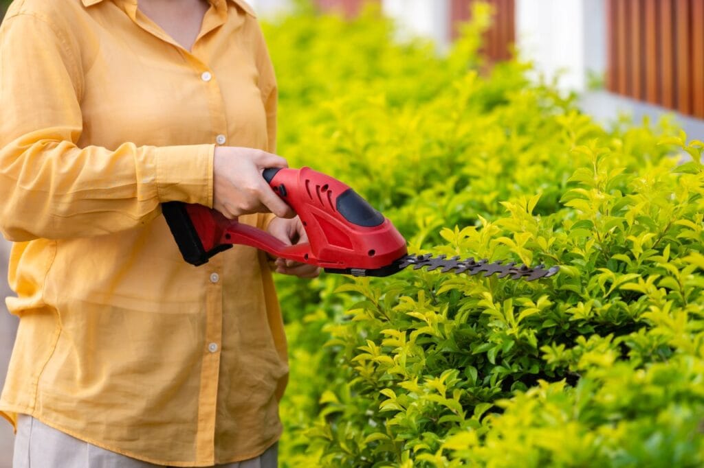 Foarfecă electrică roșie folosită pentru gard viu, cu lamă dințată pentru tăiere precisă a arbuștilor