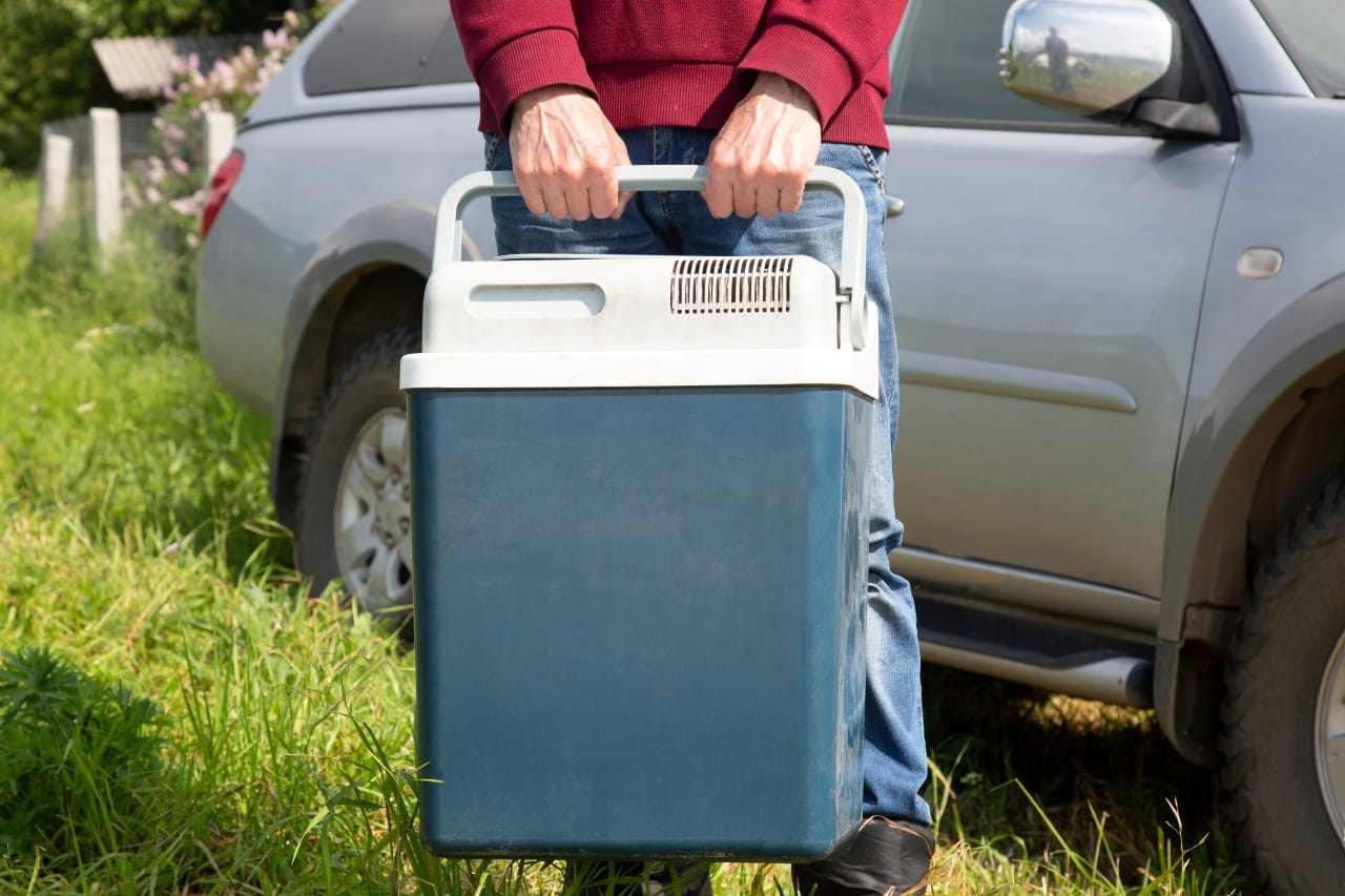 Cea mai bună Ladă frigorifică auto