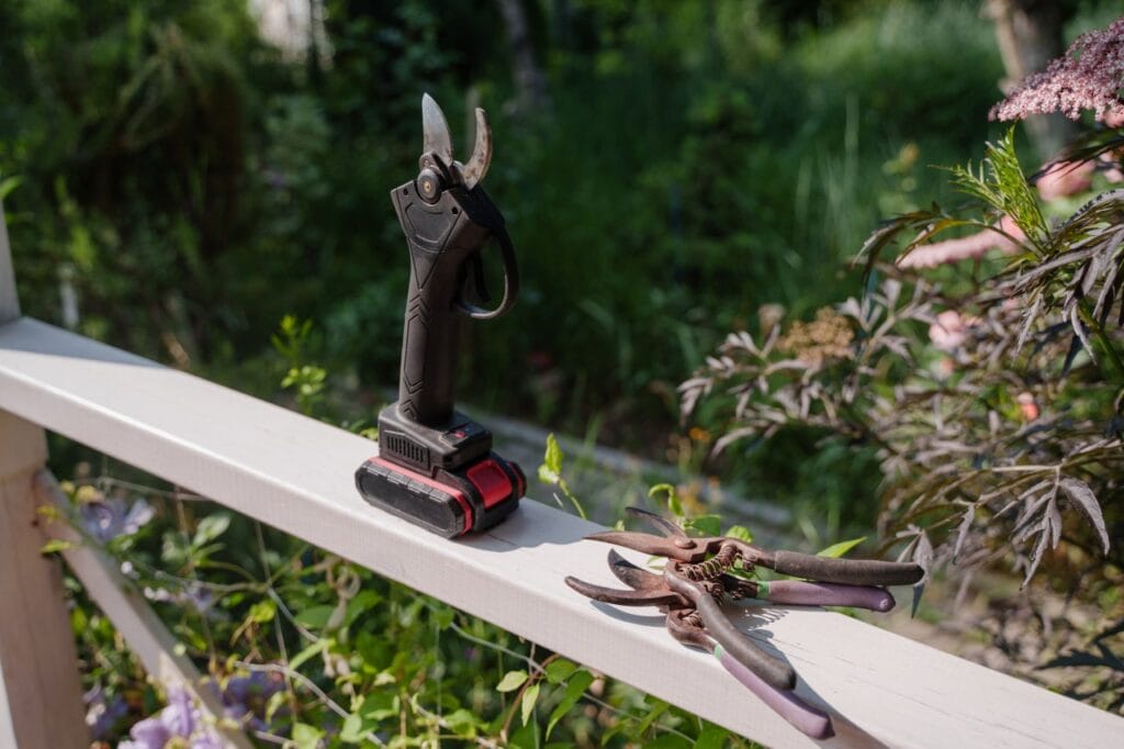Alege foarfeca în funcție de grădină, nu după preț Foarfecă electrică cu baterie și foarfece de grădină manuale pentru comparație în context de grădină