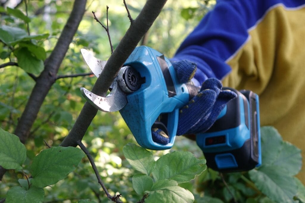 Cât de groase pot fi crengile? Tăiere aproape de limită Tăiere crengi groase cu foarfece electric aproape de capacitatea maximă