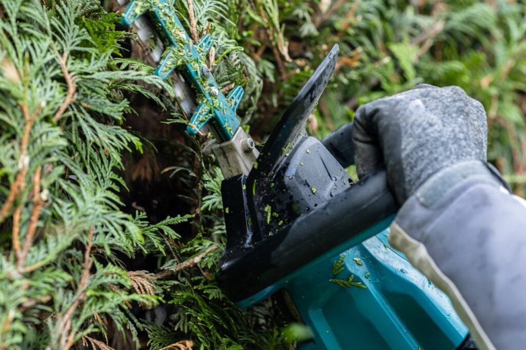 Tunderea de primăvară și de toamnă, diferențe esențiale Grădinar tundând gard viu cu unealtă electrică, întreținere sezonieră pentru un gard sănătos