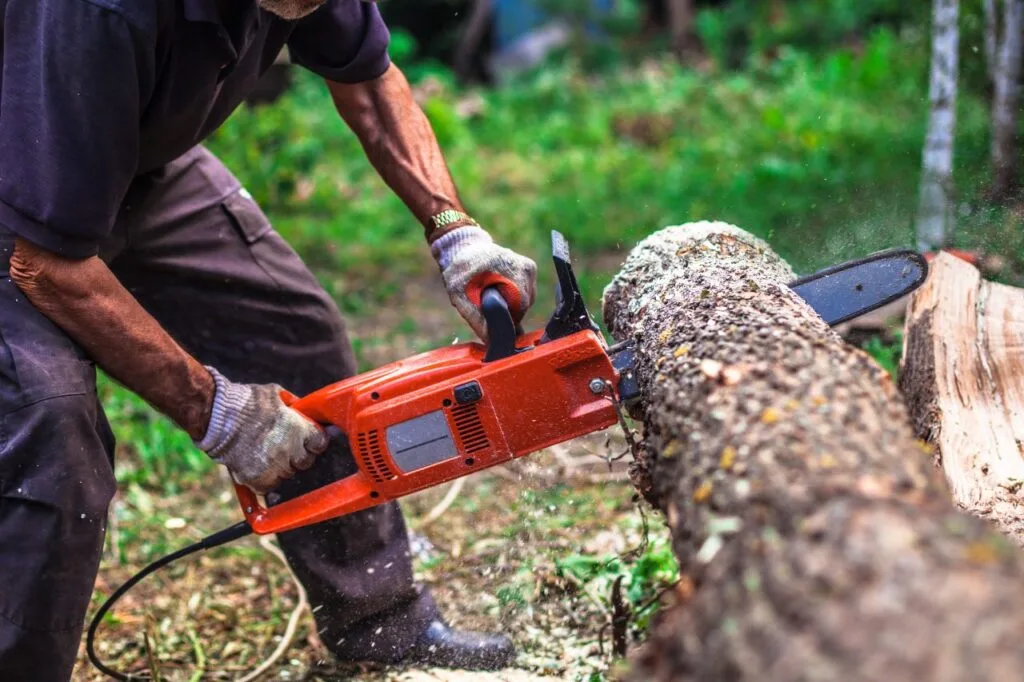 Importanța greutății și ergonomiei la o drujbă electrică Persoană care taie lemne cu o drujbă electrică ergonomică, cu mâner antiderapant pentru stabilitate.