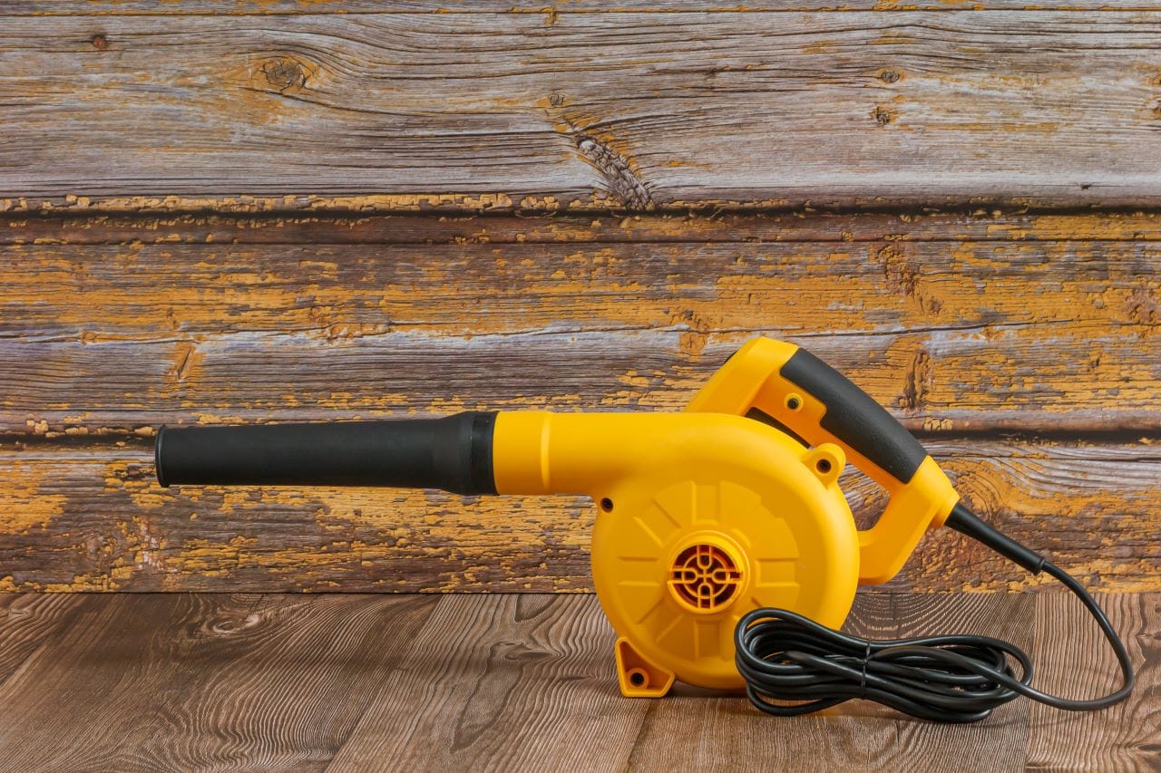 Cea mai bună Suflantă de frunze electrică