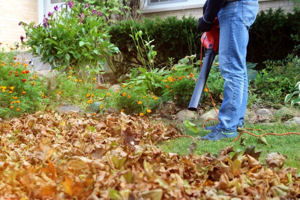 suflantă de frunze electrică folosită la curățarea grădinii de frunze uscate primăvara