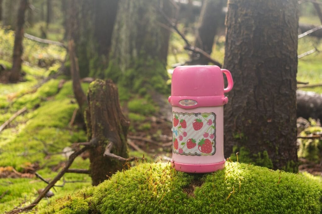 termos copii plastic roz siguranță alimentară pădure materiale de evitat