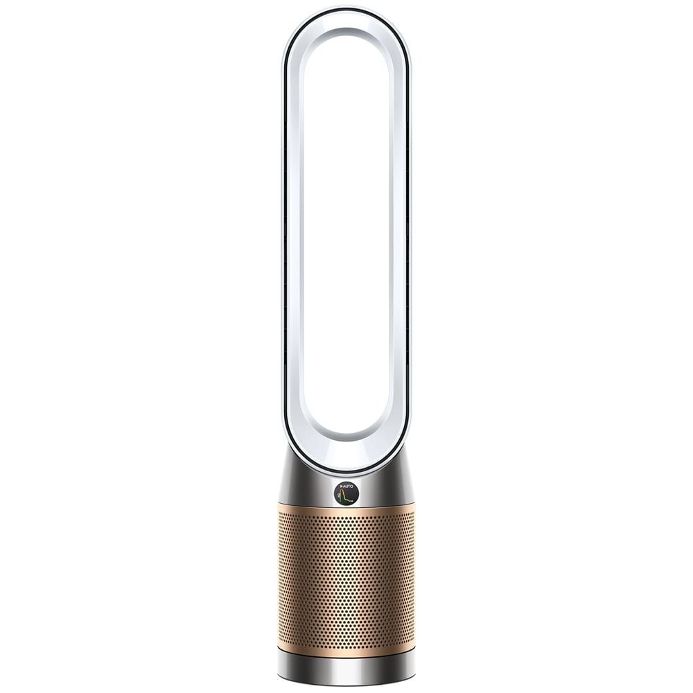 Dyson TP09
