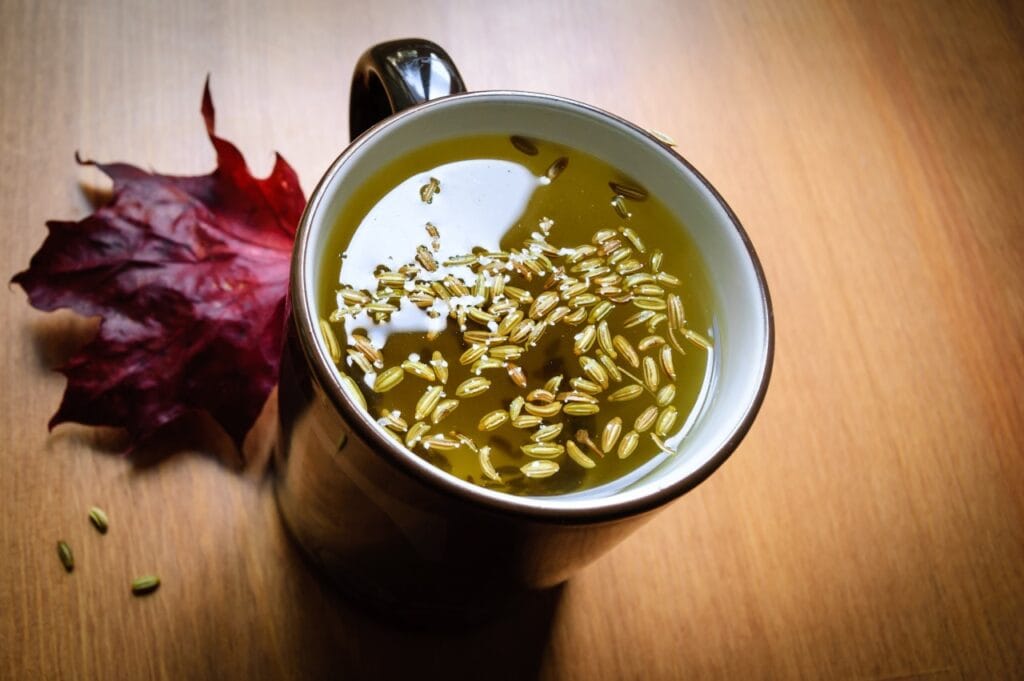 ceai vegan pentru stimularea lactației, băutură pe bază de plante fără lactoză sau miere, alegere bio pentru vegetarieni