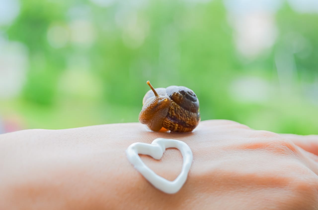 Cea mai bună Cremă cu extract de melc