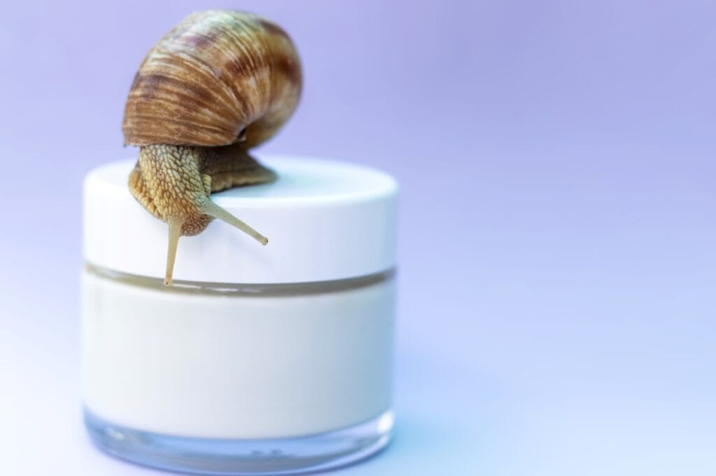 comparație mucină de melc cu alte ingrediente antirid, borcan cremă și melc pe capac, fundal mov