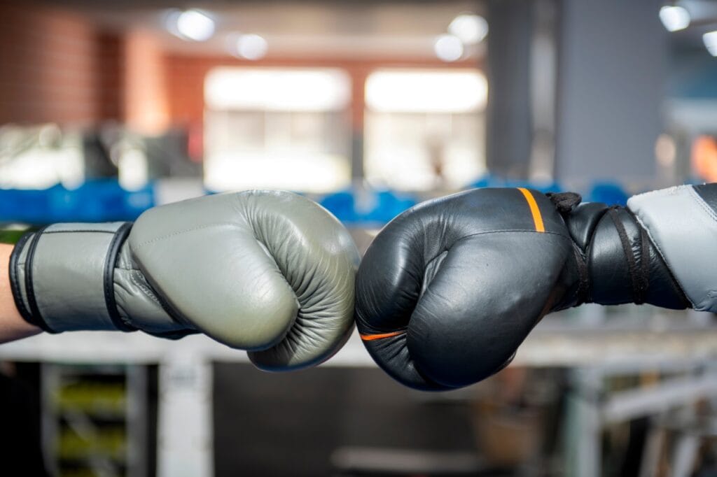 Cele mai bune Mănuși de box