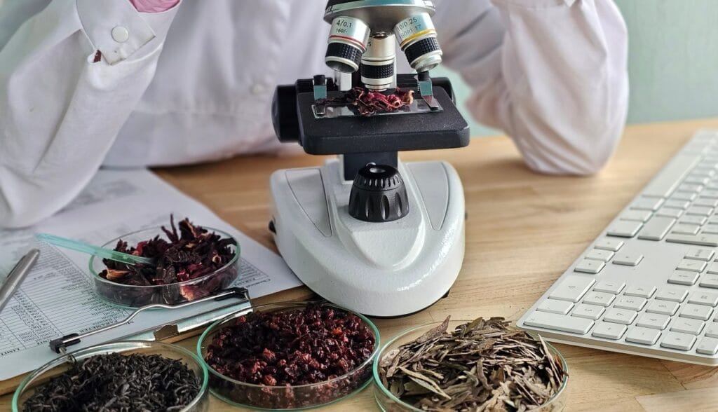 detaliu microscop în utilizare cu mostre biologice, imagine folosită pentru a exemplifica diferențele dintre entry-level și avansat